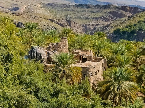 Expedice Omán - starý dům uprostřed palmového háje